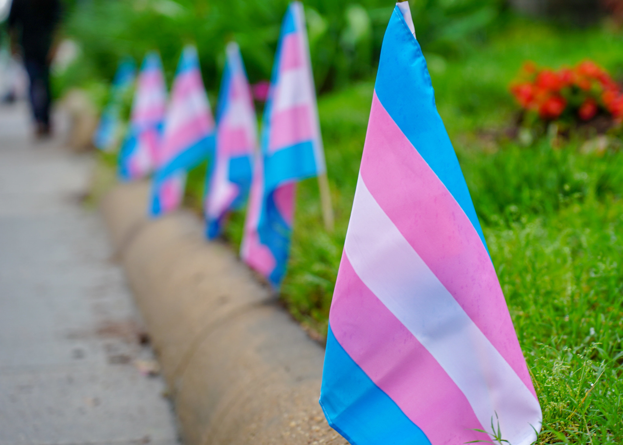 Disrupting Anti-Trans Advocacy and Promoting Inclusive Feminism